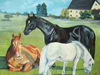 Black Beauty, Ginger and Merrylegs 12x16